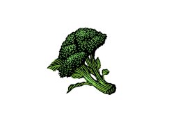 broccoli 2